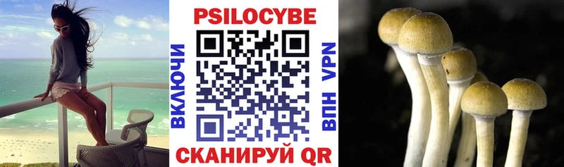 Купить  Ростов-на-Дону  Псилоцибиновые грибы Cubensis 
